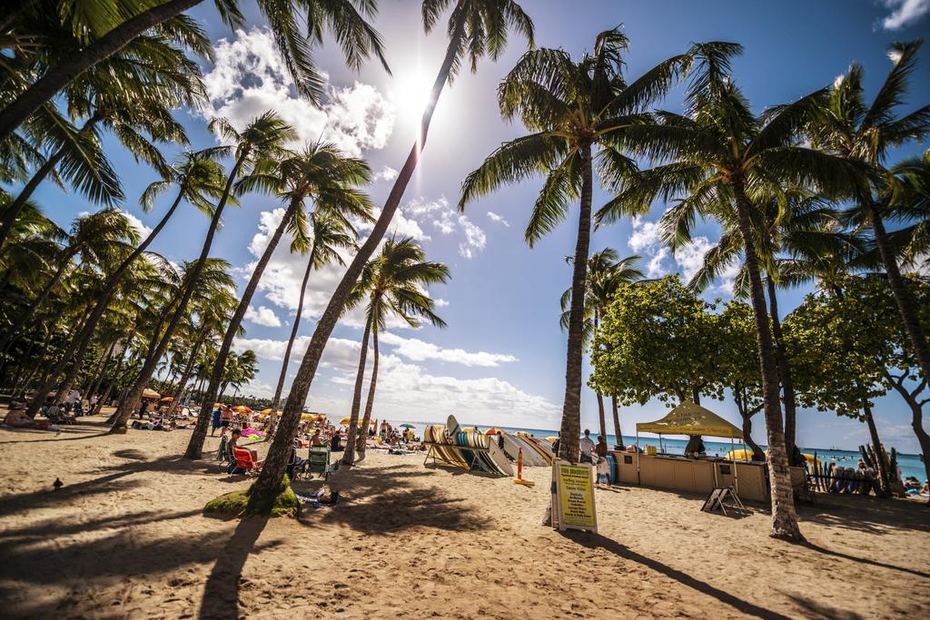 Mountain Views & Steps To Beach - Free Parking! Honolulu Exterior foto